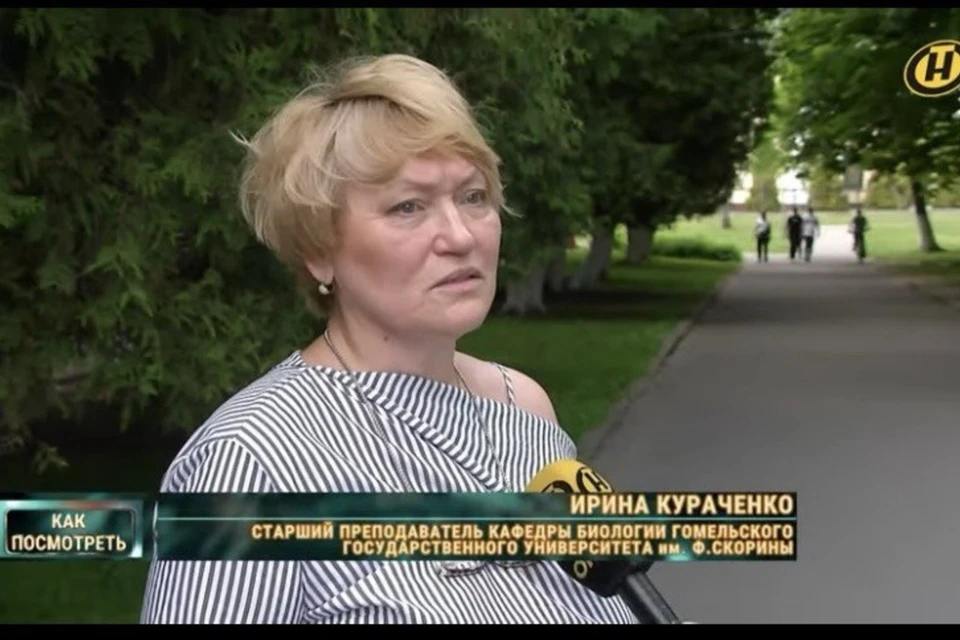 Белорусский специалист сказала, когда завершится нашествие мошек в Гомельской области. Фото: скриншот с телеканала ОНТ