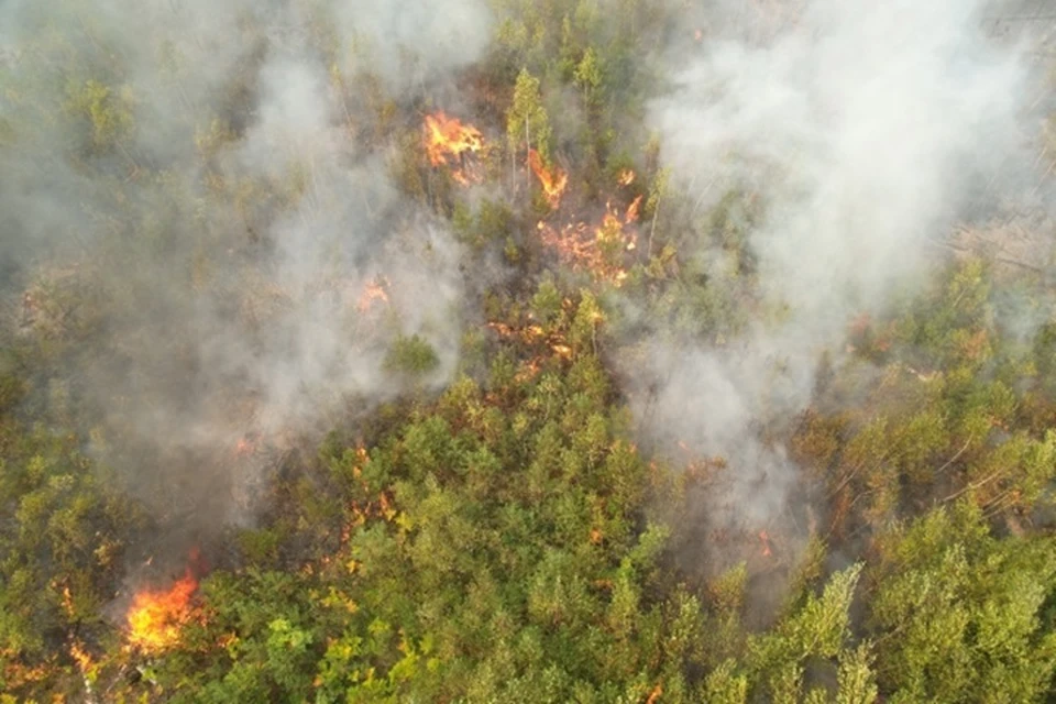В Якутии действует 24 природных пожара