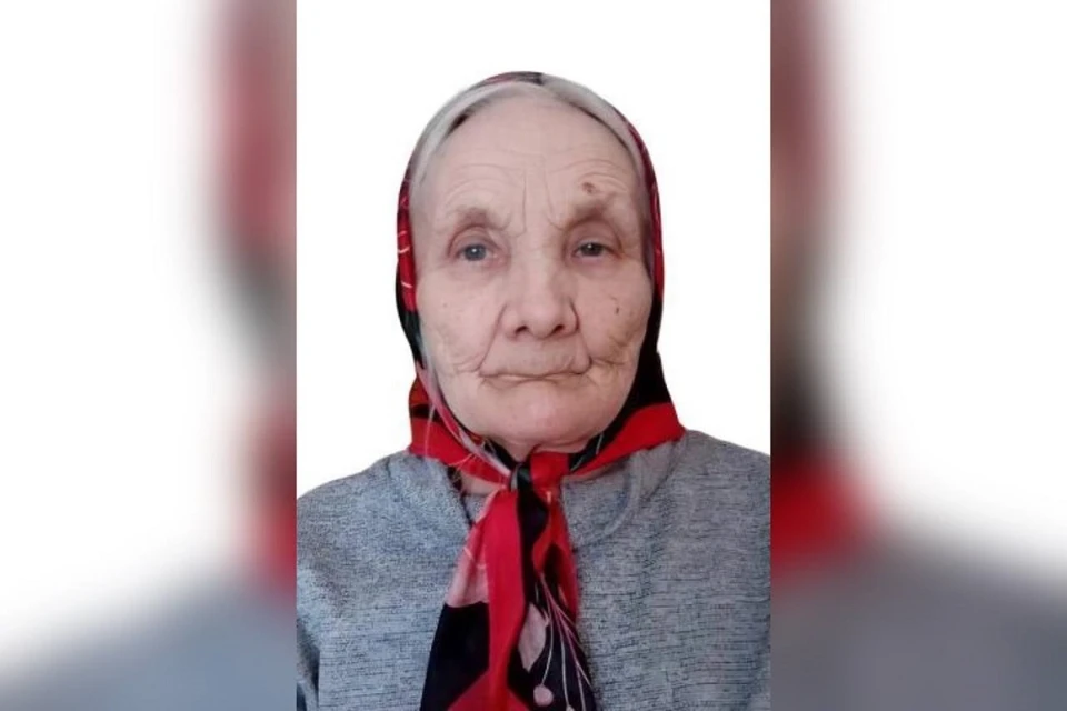 В Ленинском районе Новосибирска пропала 87-летняя пенсионерка. Фото: ПСО "ЛизаАлерт" НСО.