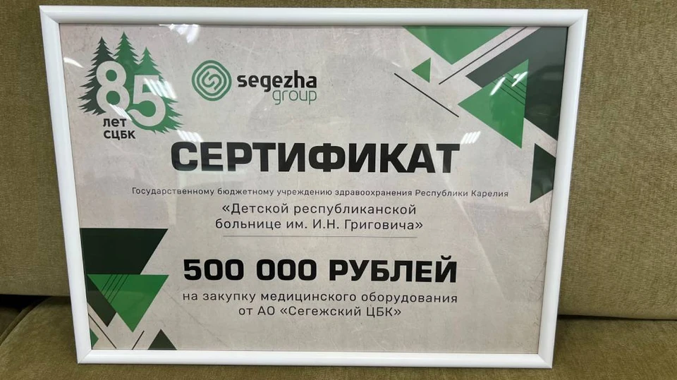 Сертификат от Segezha Group. Фото: Segezha Group