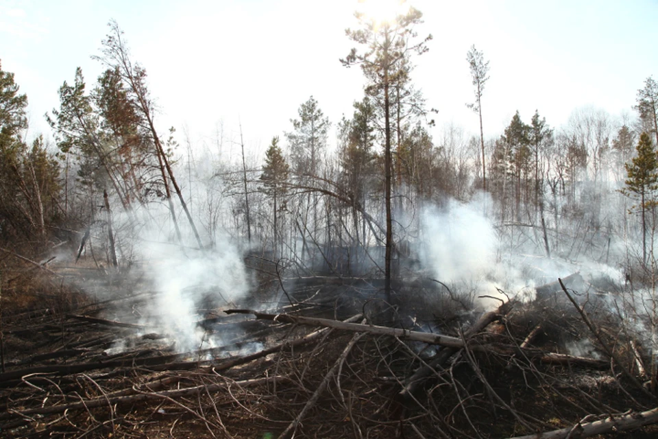 Возникшие из-за гроз два пожара потушили в лесах Иркутской области.