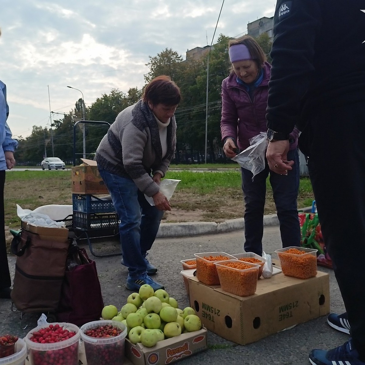 Новую площадку проведения ярмарок выходного дня утвердила администрация  Рязани - KP.RU