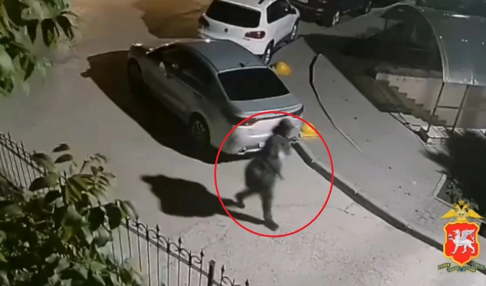 Субъект с шиной попал в объектив камеры видеонаблюдения. Фото: 82.мвд.рф