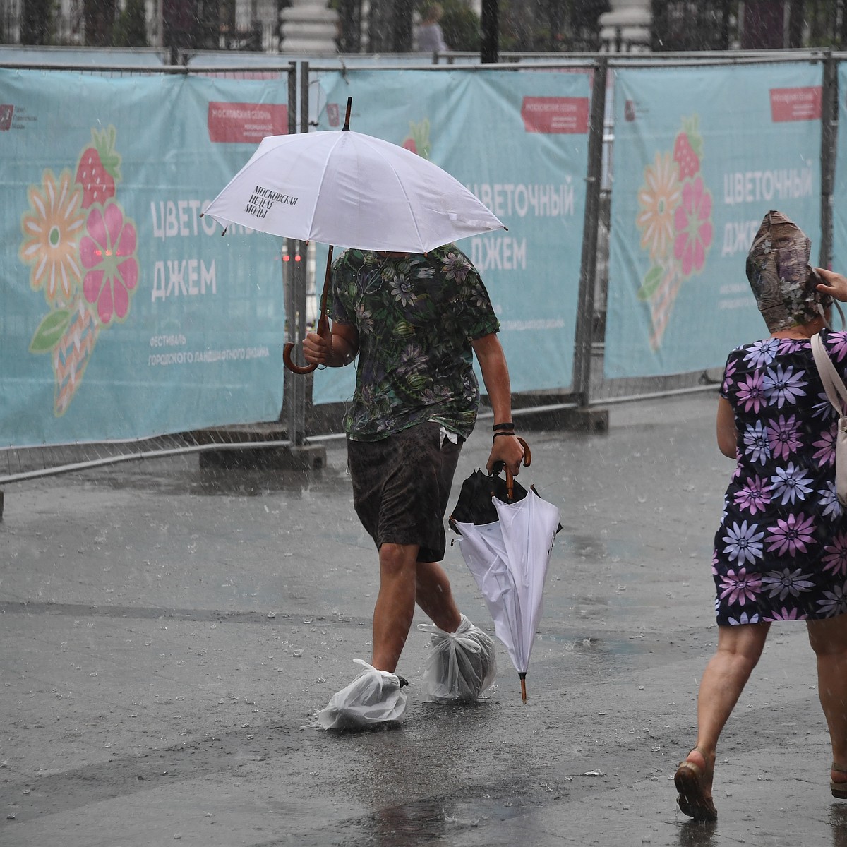 В Новосибирск вернется тепло, но останутся дожди - KP.RU