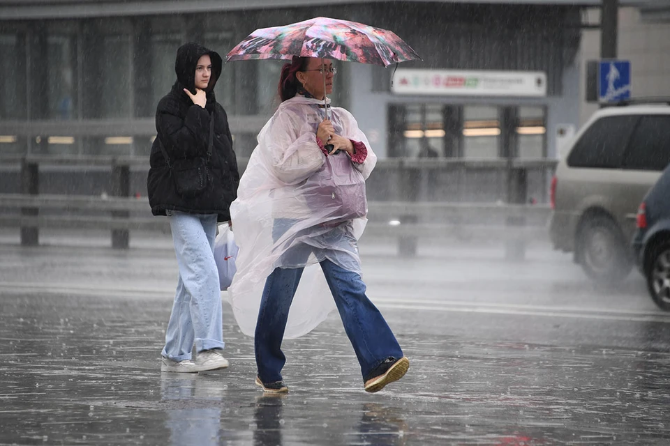 Метеоролог Позднякова рассказала о причинах рекордных дождей в Москве