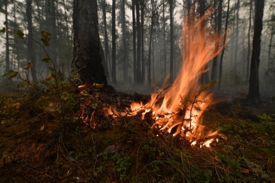 В Якутии, по данным на 9 июня, действуют 35 лесных пожаров