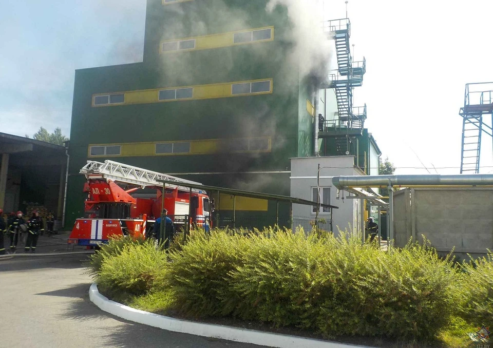 В Бобруйске произошел пожар на заводе растительных масел. Фото: МЧС.