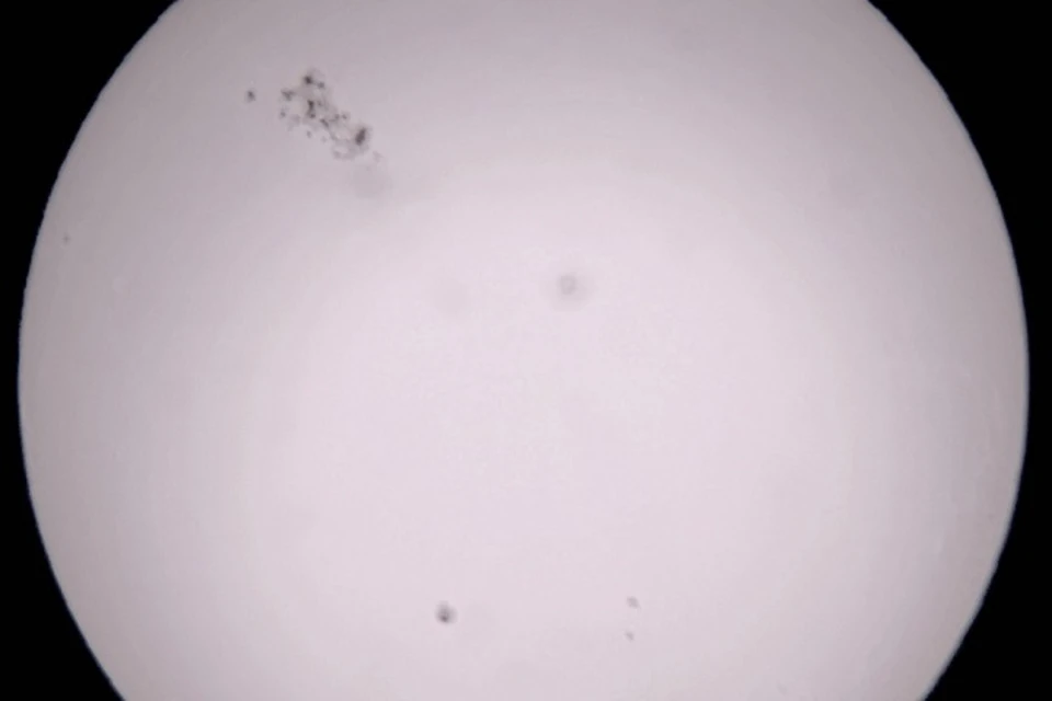 Группа пятен на Солнце, которая порадовала жителей Земли полярными сияниями в мае этого года. Фото со страницы Крымской астрофизической обсерватории Вконтакте