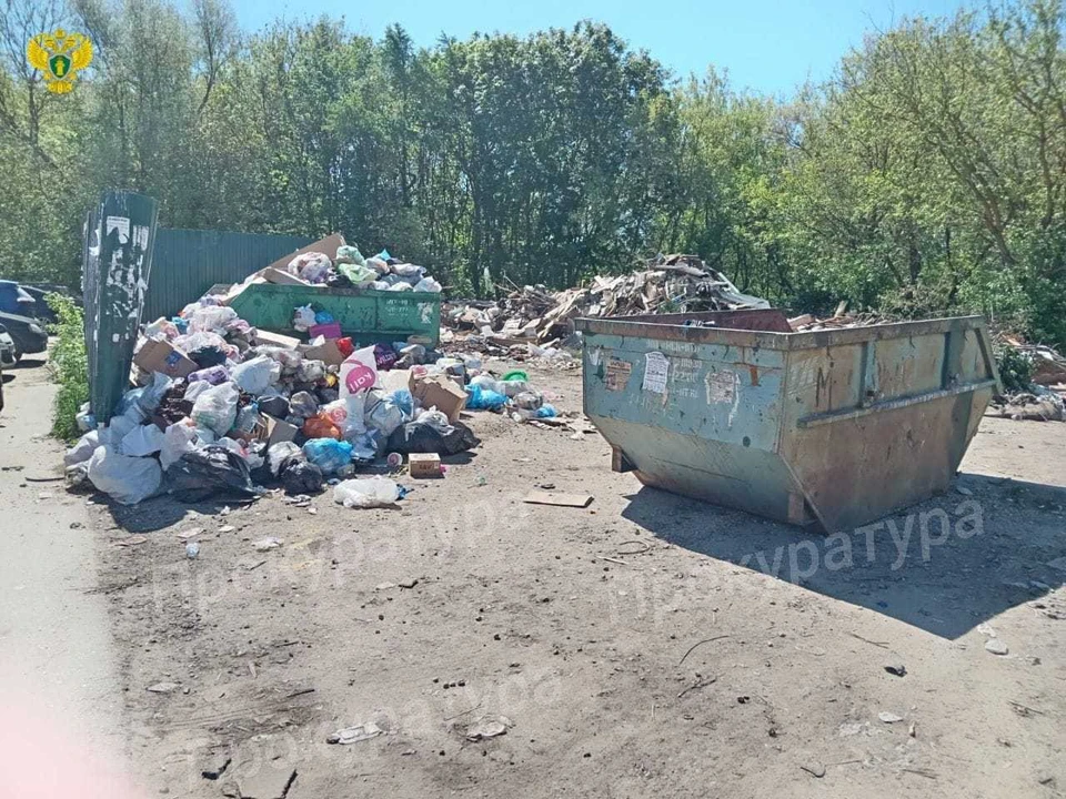 Прокуратура потребовала от местных властей расчистить свалку в Плавском районе Тульской области
