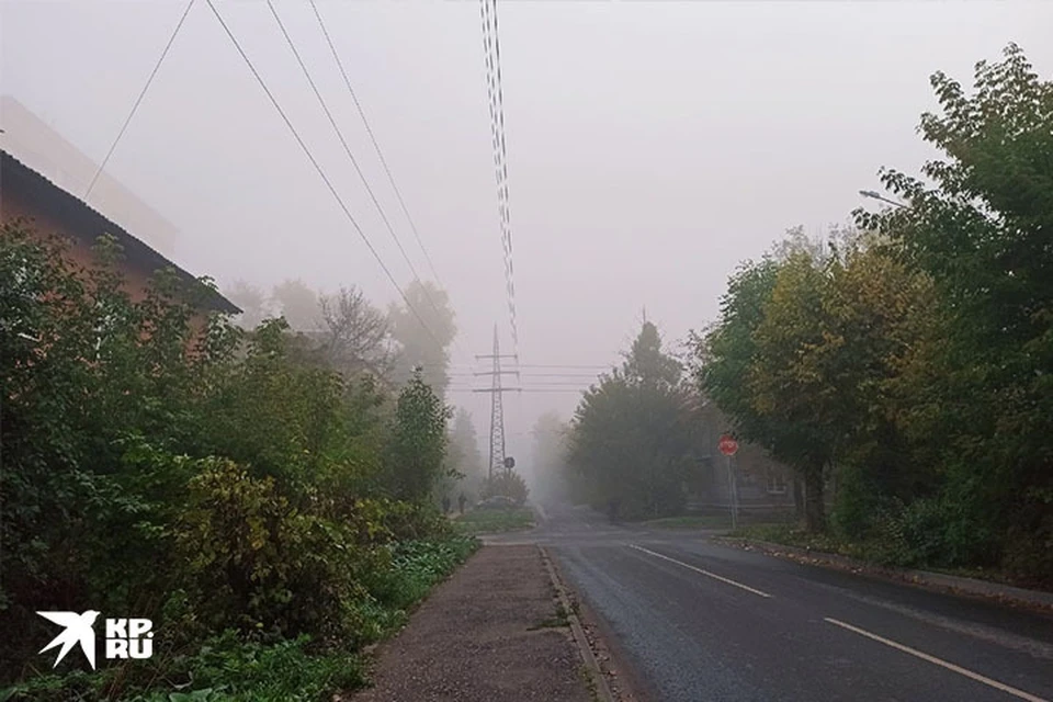 На дорогах Тверской области из-за тумана может ухудшиться видимость