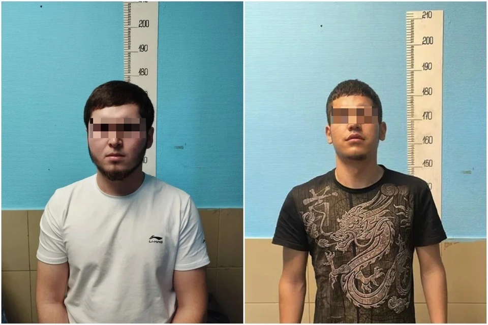 Двоих мигрантов задержали за нападение на прохожего в Петербурге. Фото: ГУ МВД России по Петербургу и Ленобласти