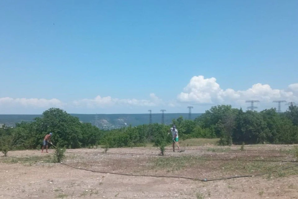 В Севастополе обустроили бывшую свалку Фото: ТГ-канал Севприроднадзора