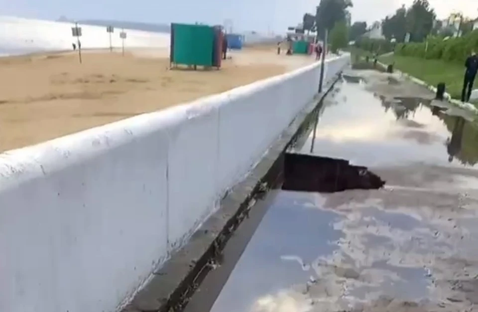 Фото: скриншот видео