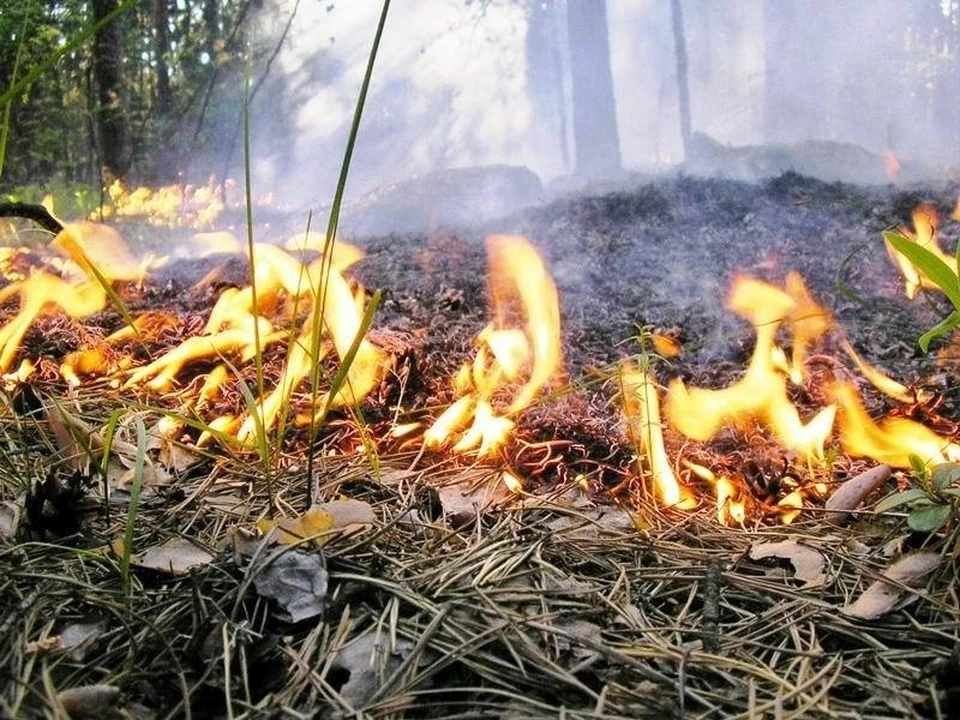 Пожары возникают регулярно