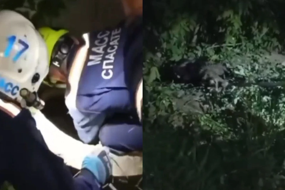 Спасатели достали собаку из колодезного люка. Фото: Кадры из видео спасателей МАСС