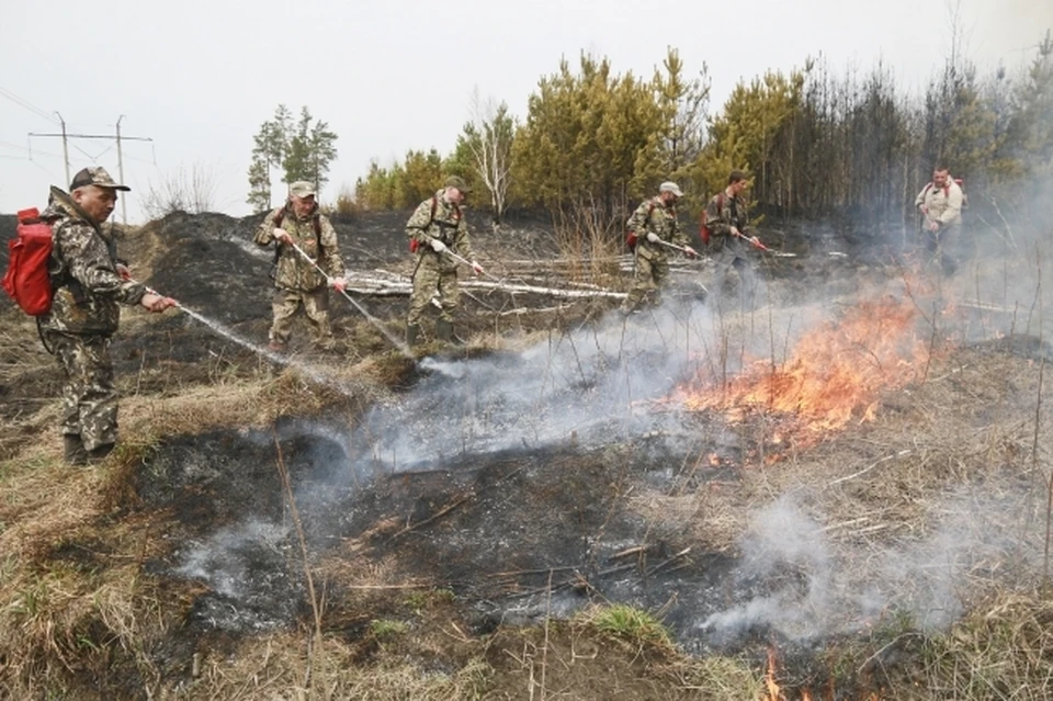 Дожди помогают снизить класс пожароопасности леса.