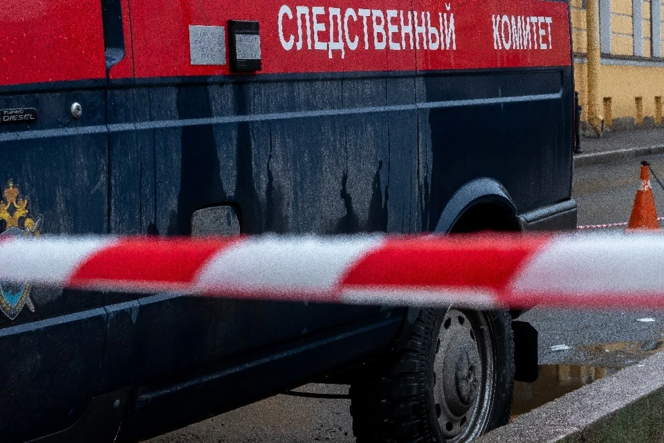 В Новосибирске нашли тела двоих мужчин в автомобиле «Тойота»
