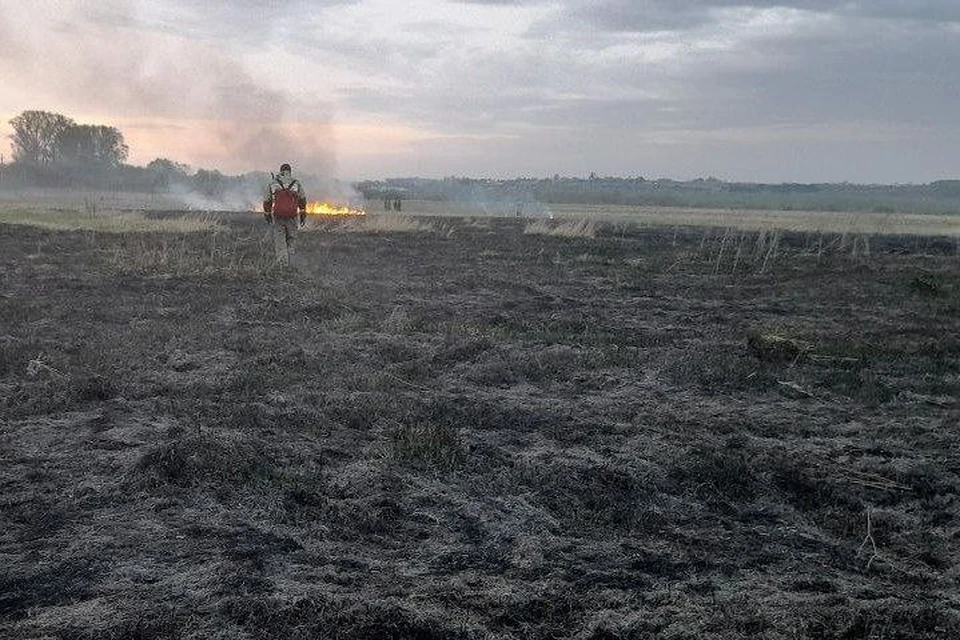 В Херсонской области потушили два пожара