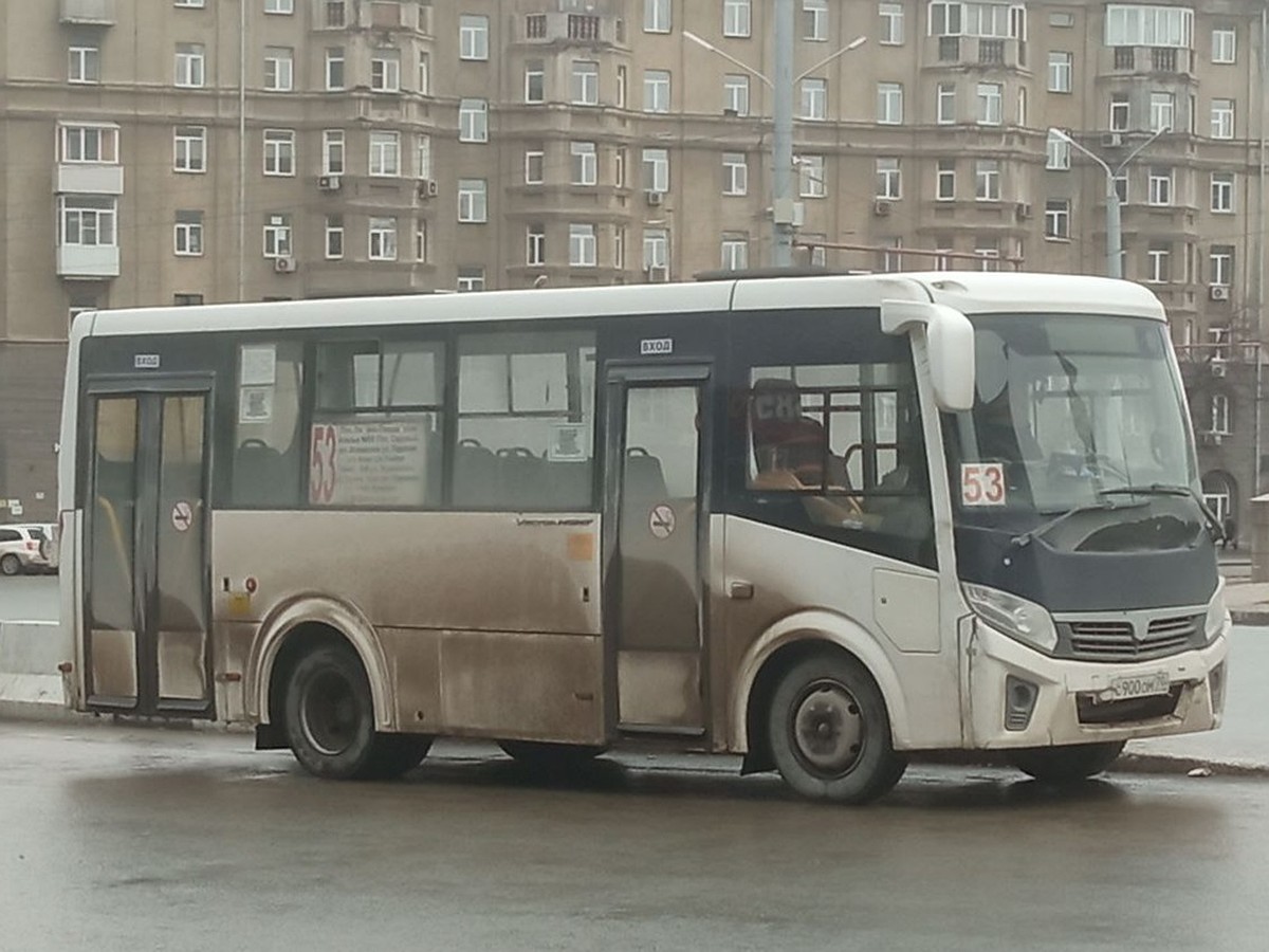 В Новосибирске на Родительскую субботу и Троицу пустят дополнительные  автобусы - KP.RU