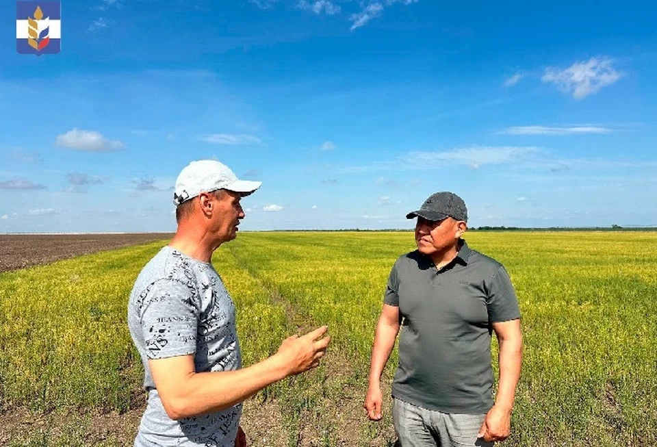 В Херсонской области ведется уборка ранних зерновых. ФОТО: минсельхоз Херсонской области