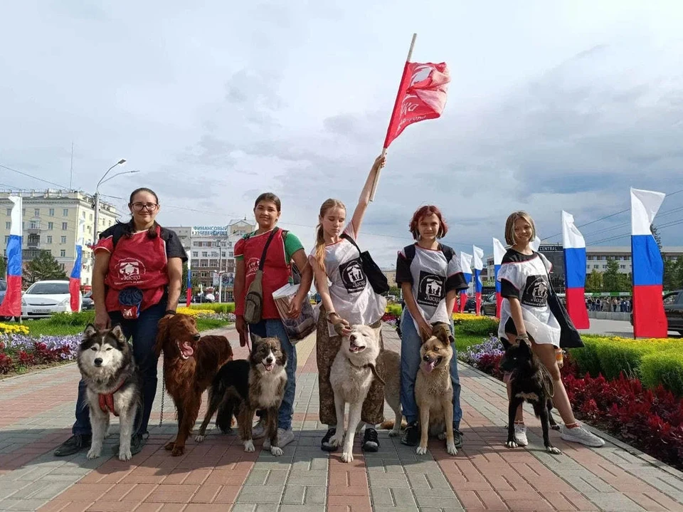 Фото: приют для бездомных животных “Ласка”