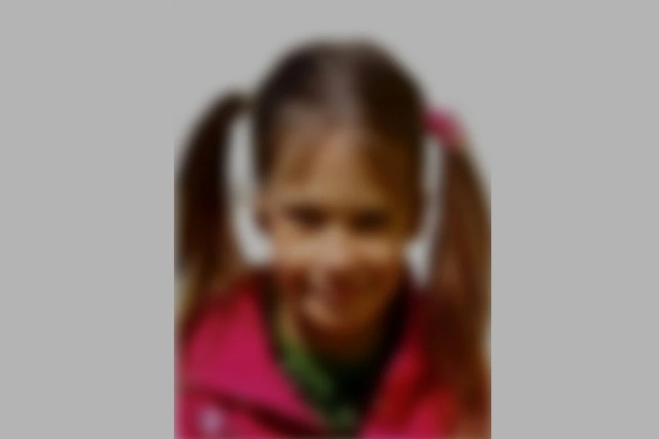 В Новосибирске пропала 8-летняя девочка с розовой челкой. ПСО «ЛизаАлерт НСО»