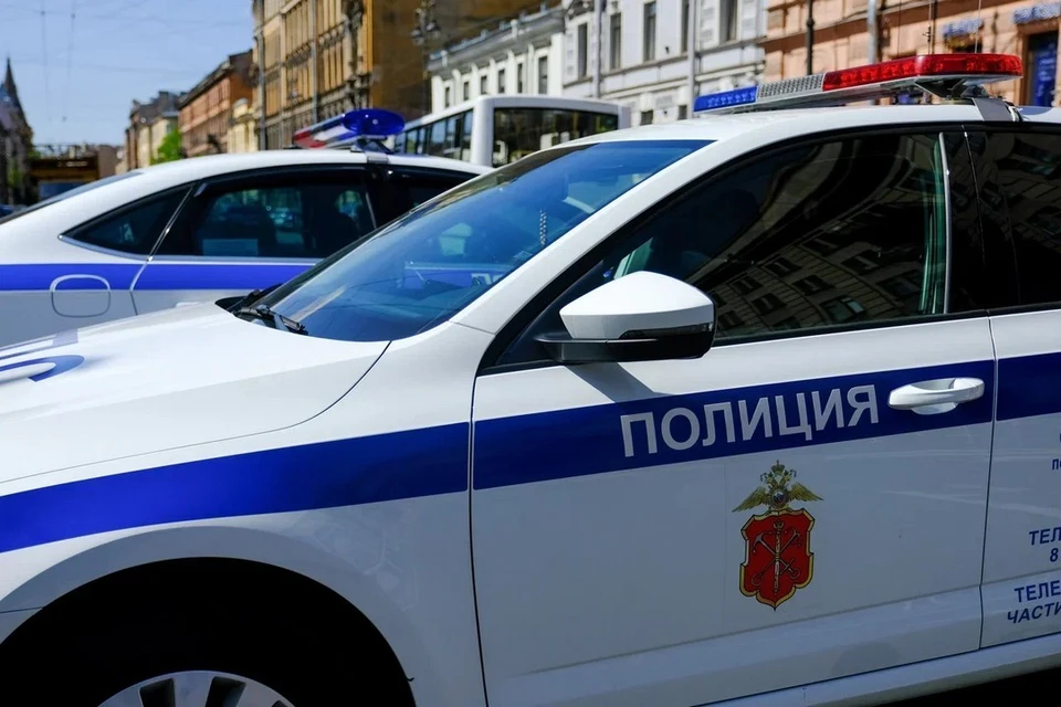 Курьер на электровелосипеде сбил женщину на тротуаре в Петербурге.
