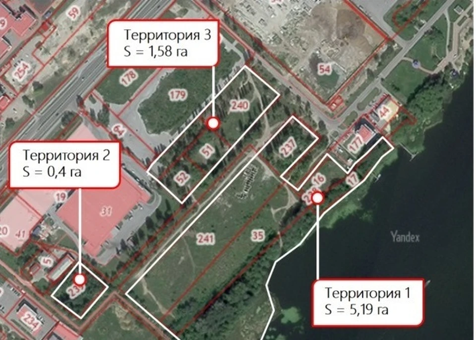Фото администрации города Липецка