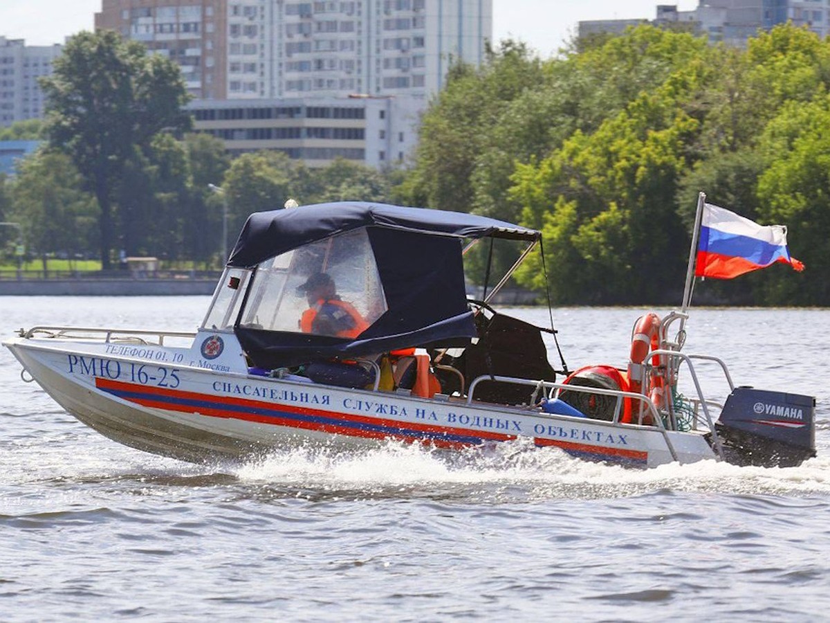 Почти 1 кг гашиша изъяли у автомобилиста в Новой Москве - KP.RU