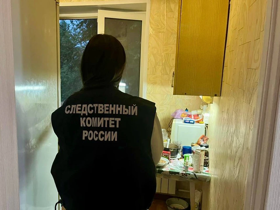 В Энгельсе женщина хотела заказать роллы и получила нож в грудь (фото: СУ СКР по Саратовской области)