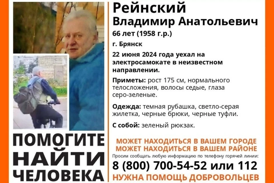 Фото: поисковый отряд "Лиза Алерт".