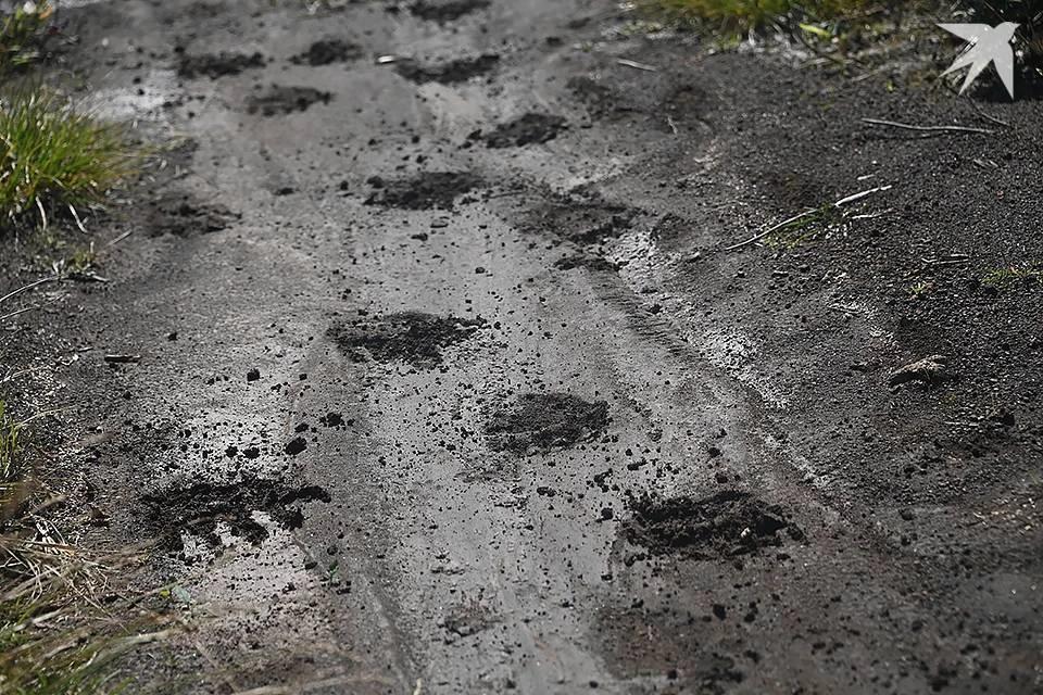 Встретить медведя можно не только на суше, но и в море.