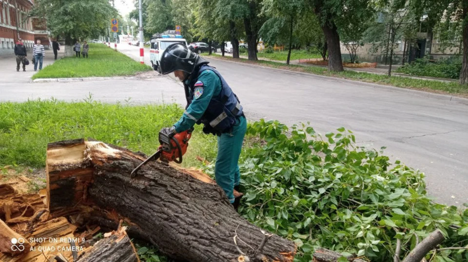 На улице Карла Либкнехта старое дерево перегородило тротуар и проезжую часть. Фото администрация Ульяновска