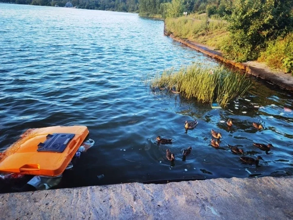 «А тут нельзя купаться!»: калужане нашли мусорный бак в Яченском водохранилище