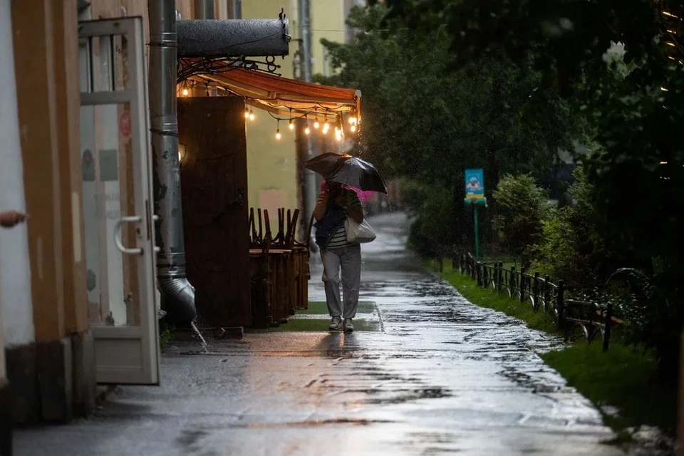 МЧС предупредило об ухудшении погодных условий в Петербурге 29 июня.