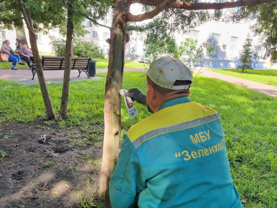 Фото городского управления экологии