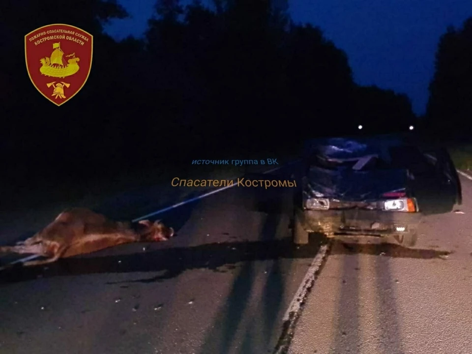 Фото: ОГБУ "ПСС"