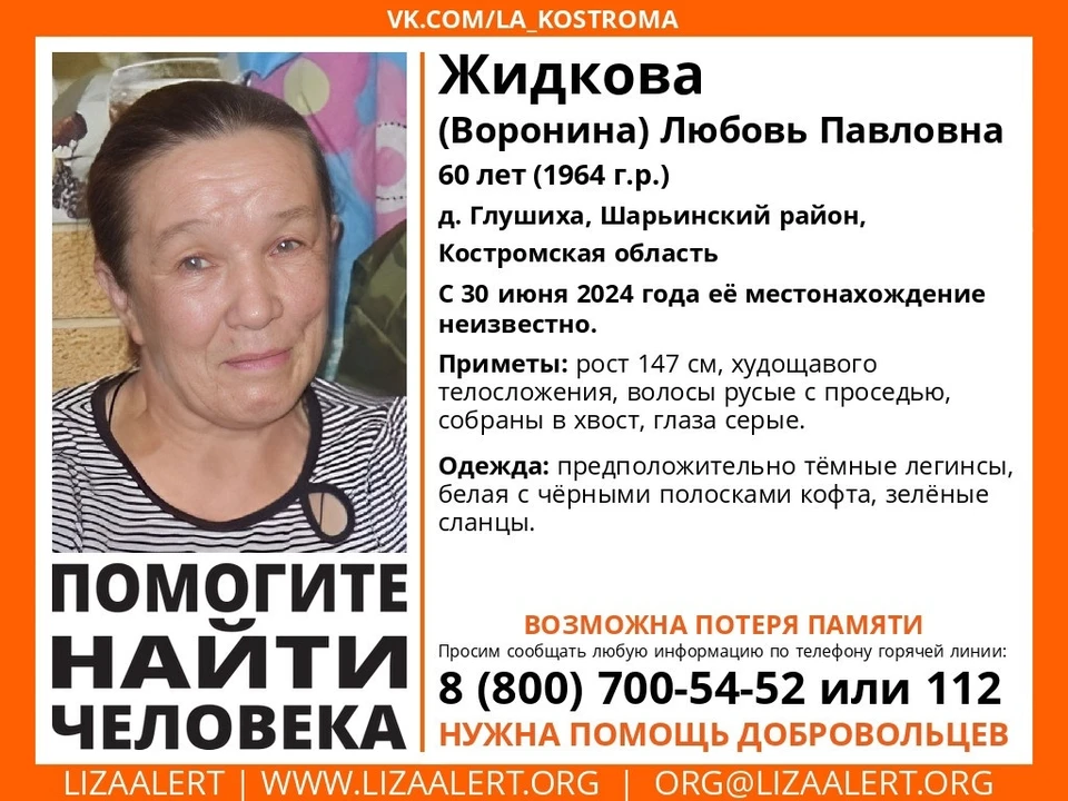 Фото: ДПСО "Лиза Алерт" Костромской области