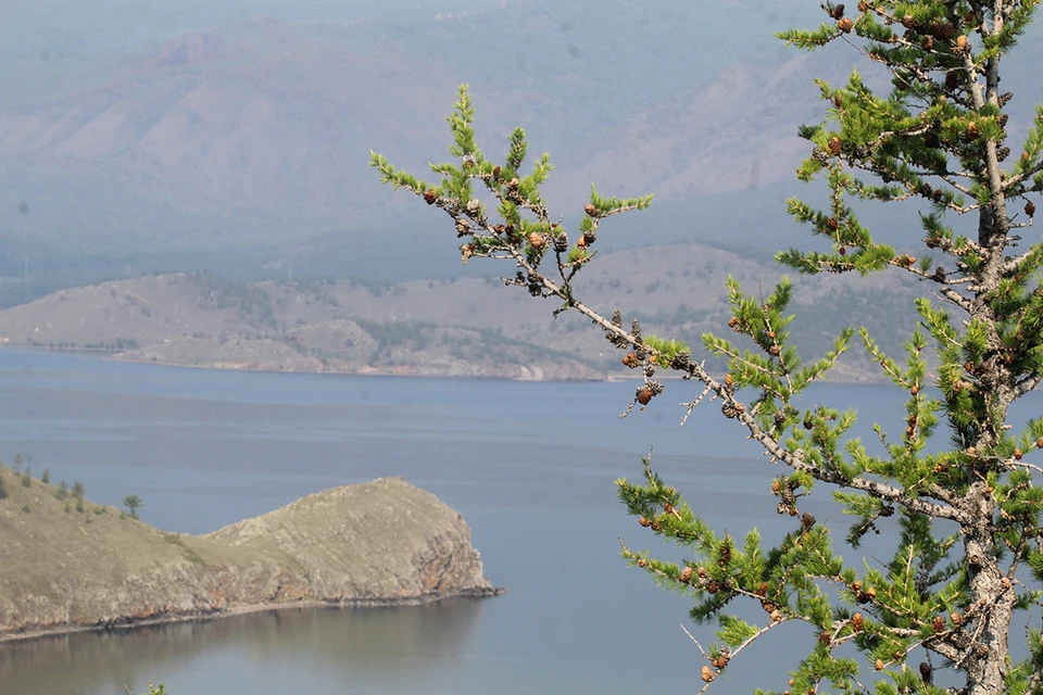 Этим летом развернулась жаркая дискуссия вокруг поправок в закон “Об охране озера Байкал”, который в своем нынешнем виде был принят в 1999 году.