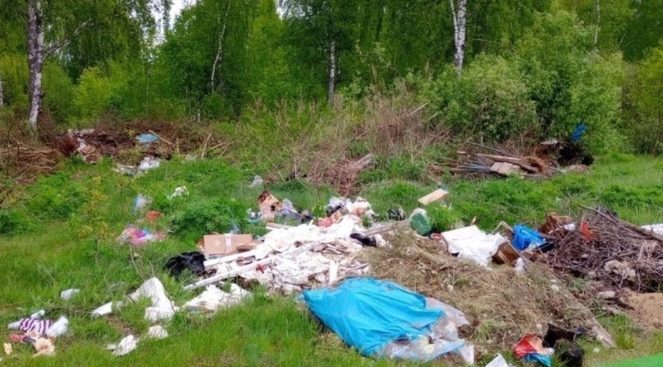 Незаконную свалку ликвидировали в Смоленской области Фото: Региональный оператор ТКО Смоленской области