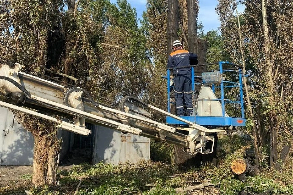 На улицах Полог в Запорожской области провели опил аварийных деревьев. ФОТО: администрация Пологовского муниципального округа