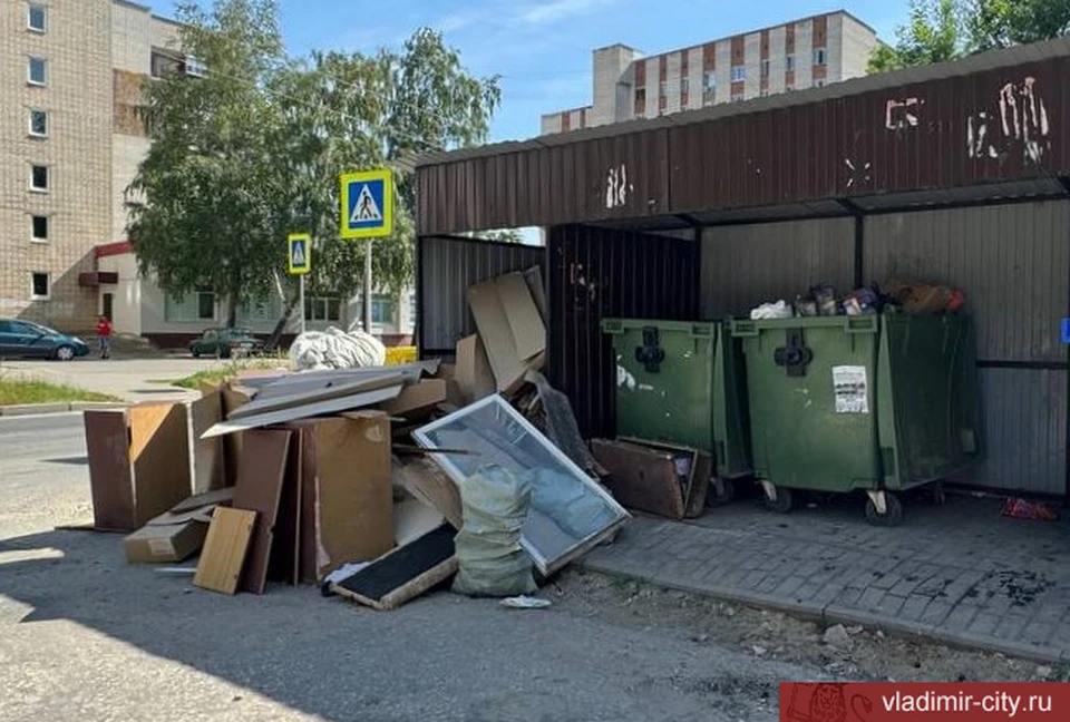 Фото: администрация города Владимира