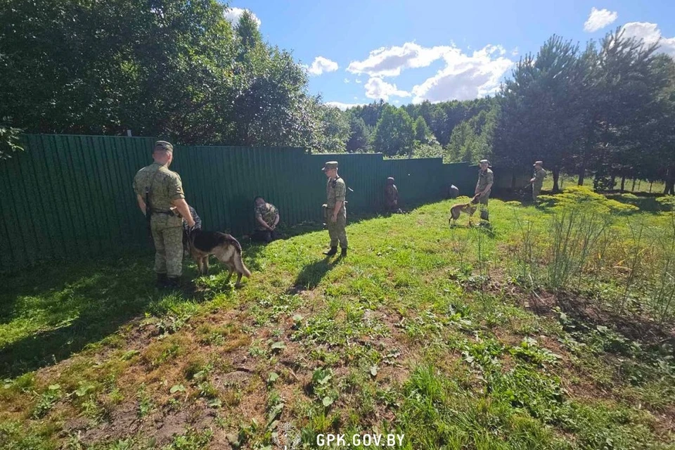 Группу нарушителей задержали белорусские пограничники на границе с Литвой. Фото: ГПК.