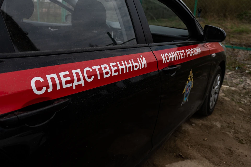 Нападавший задержан, с ним производятся следственные действия.