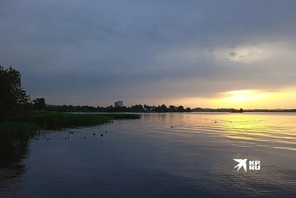 В Соже утонул мужчина, который пытался спасти свою собаку, забежавшую в воду. Фото: архив "КП", Лев Истомин. Фото носит иллюстративный характер.