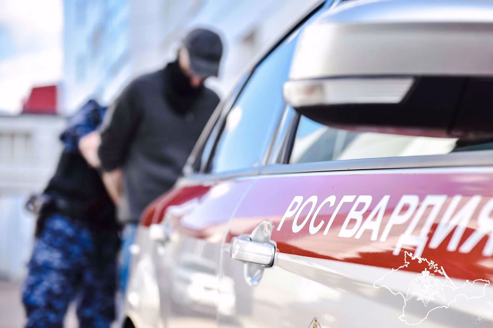 Подозреваемый задержан. Фото: 82.rosguard.gov.ru