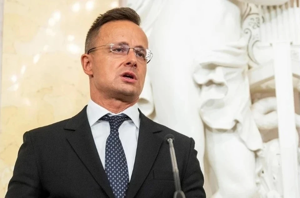 Глава МИД Венгрии Сийярто: Членство Украины в НАТО на саммите не обсуждается