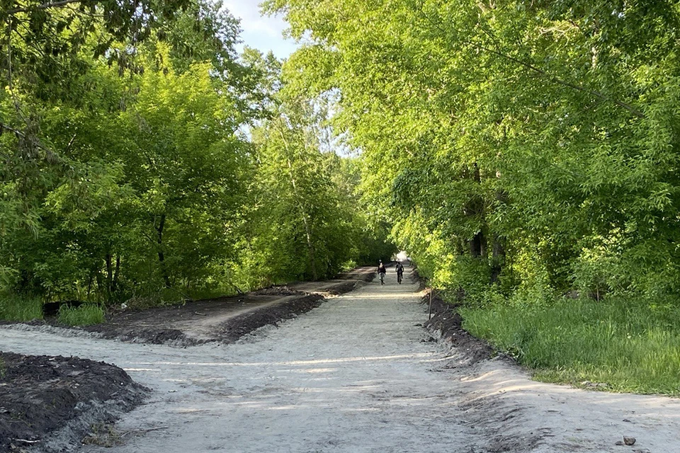 В бывшем парке имени Ленина уже появляются новые дорожки