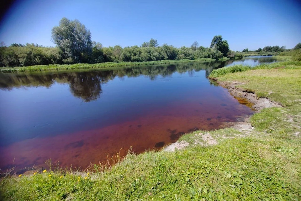 Несовершеннолетняя девушка утонула в Борисове. Фото: УВД Миноблисполкома.