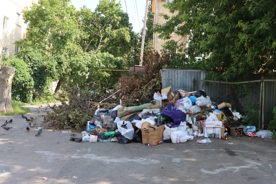 Тех, кто выбрасывает мусор в неположенных местах, могут оштрафовать